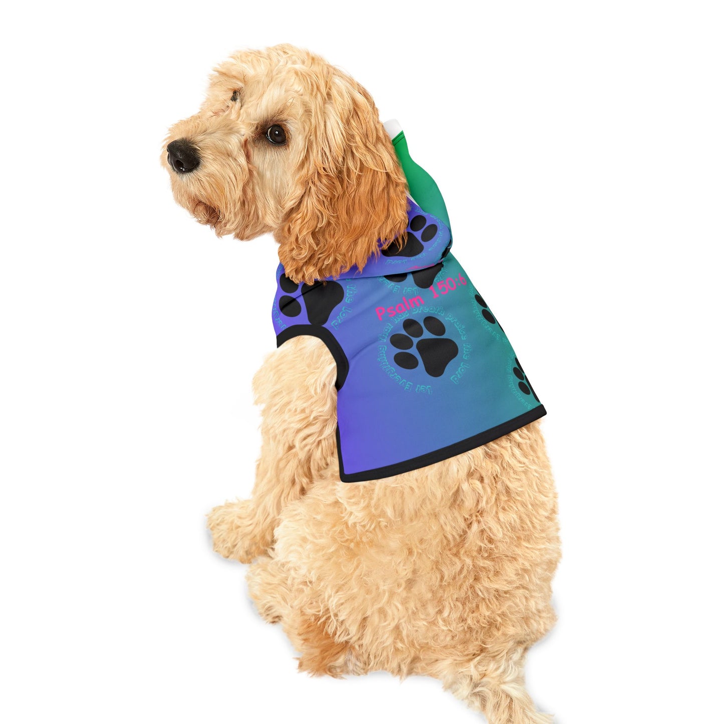 Colorful Pet Hoodie with Psalm 150:6 Design for Stylish Dogs