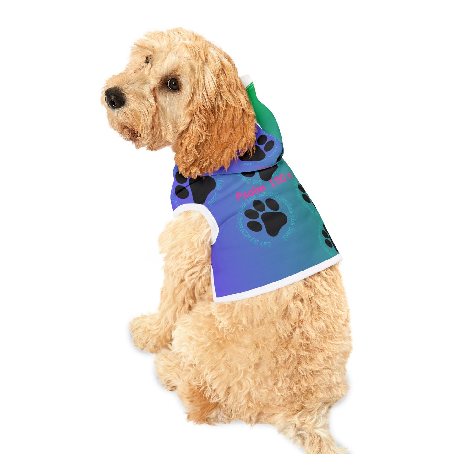 Colorful Pet Hoodie with Psalm 150:6 Design for Stylish Dogs