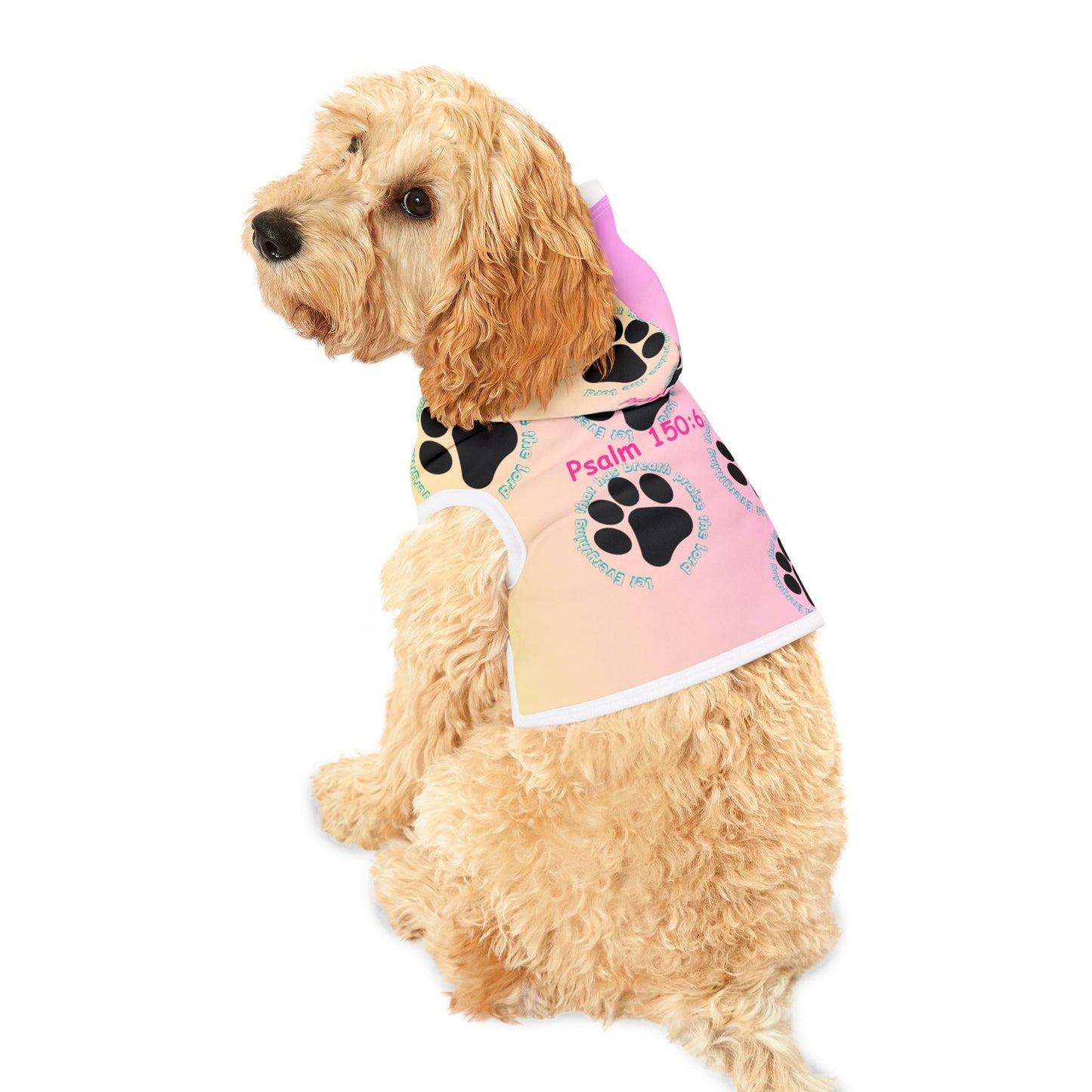 Comfortable and Stylish Pet Hoodie with Inspirational Quotes & Paw Print Design