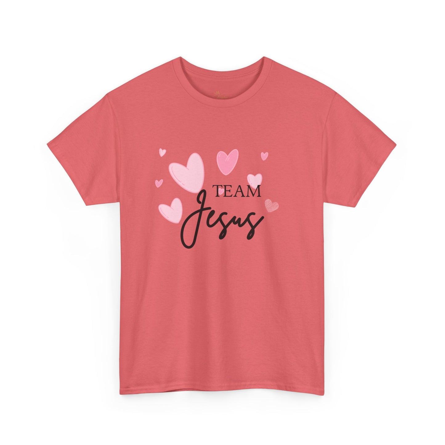Team Jesus Unisex Heavy Cotton Tee – Perfect for Faith Lovers and Church Events
