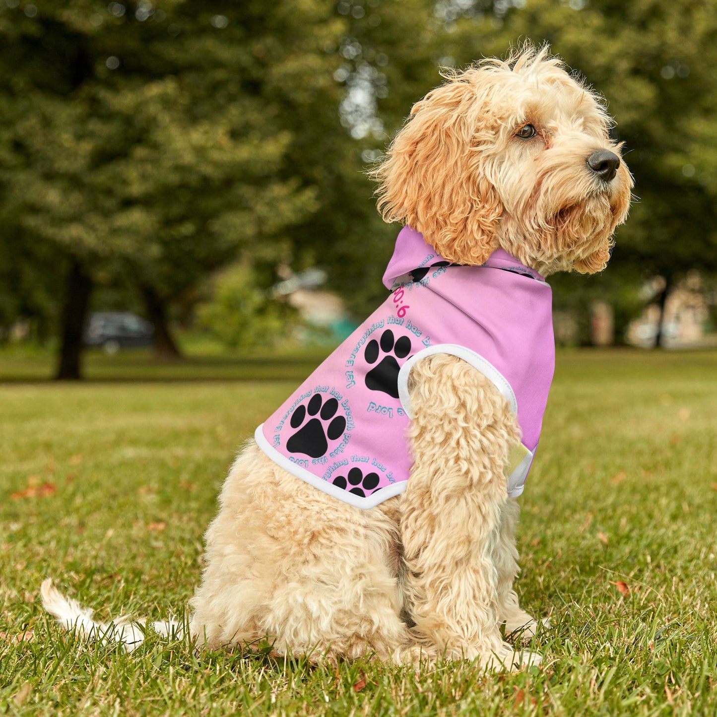 Comfortable and Stylish Pet Hoodie with Inspirational Quotes & Paw Print Design