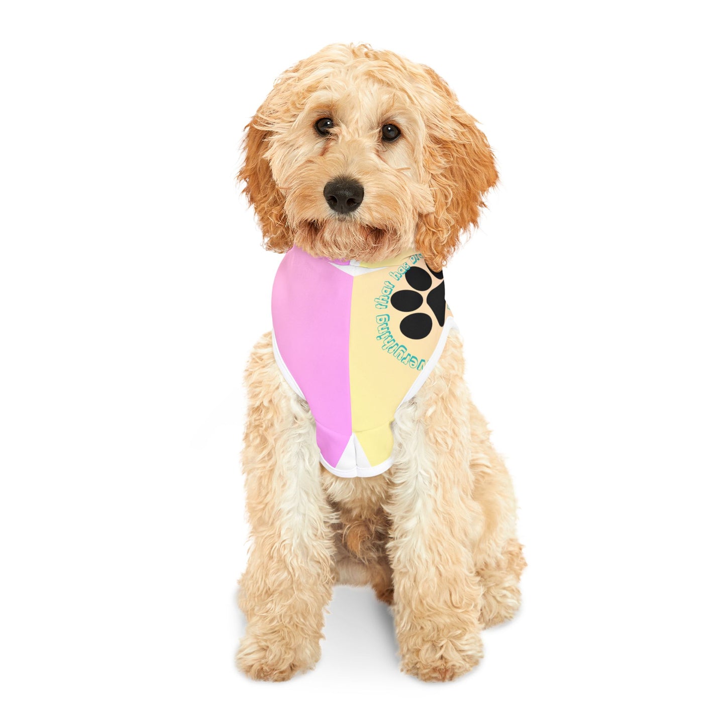 Comfortable and Stylish Pet Hoodie with Inspirational Quotes & Paw Print Design