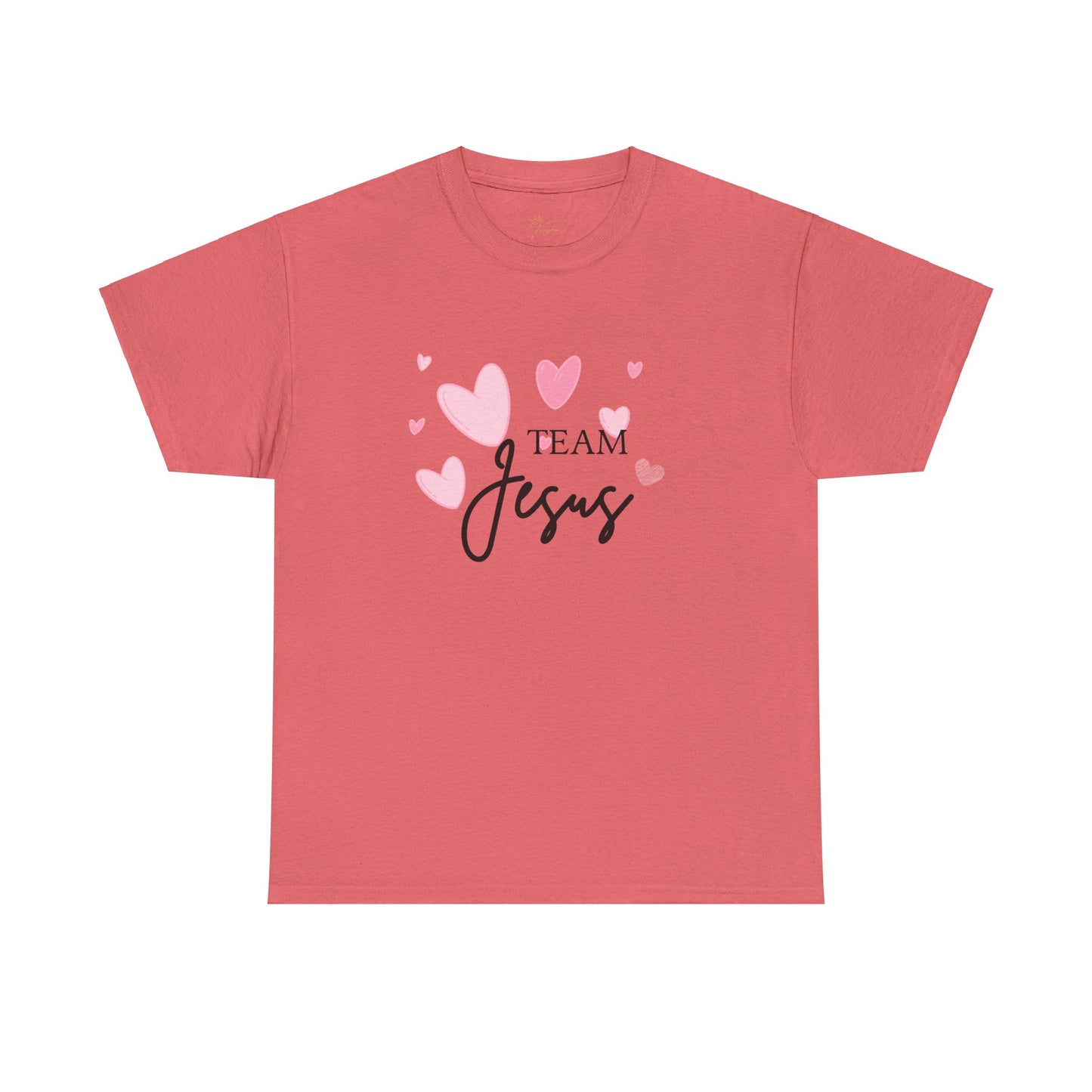 Team Jesus Unisex Heavy Cotton Tee – Perfect for Faith Lovers and Church Events