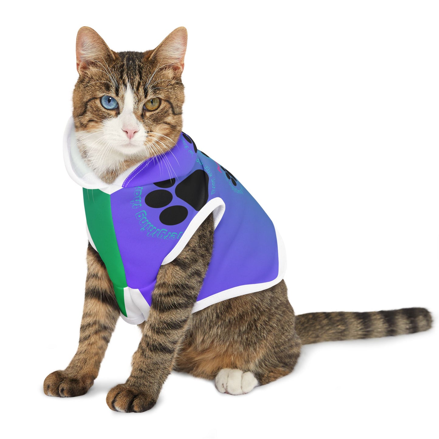 Colorful Pet Hoodie with Psalm 150:6 Design for Stylish Dogs