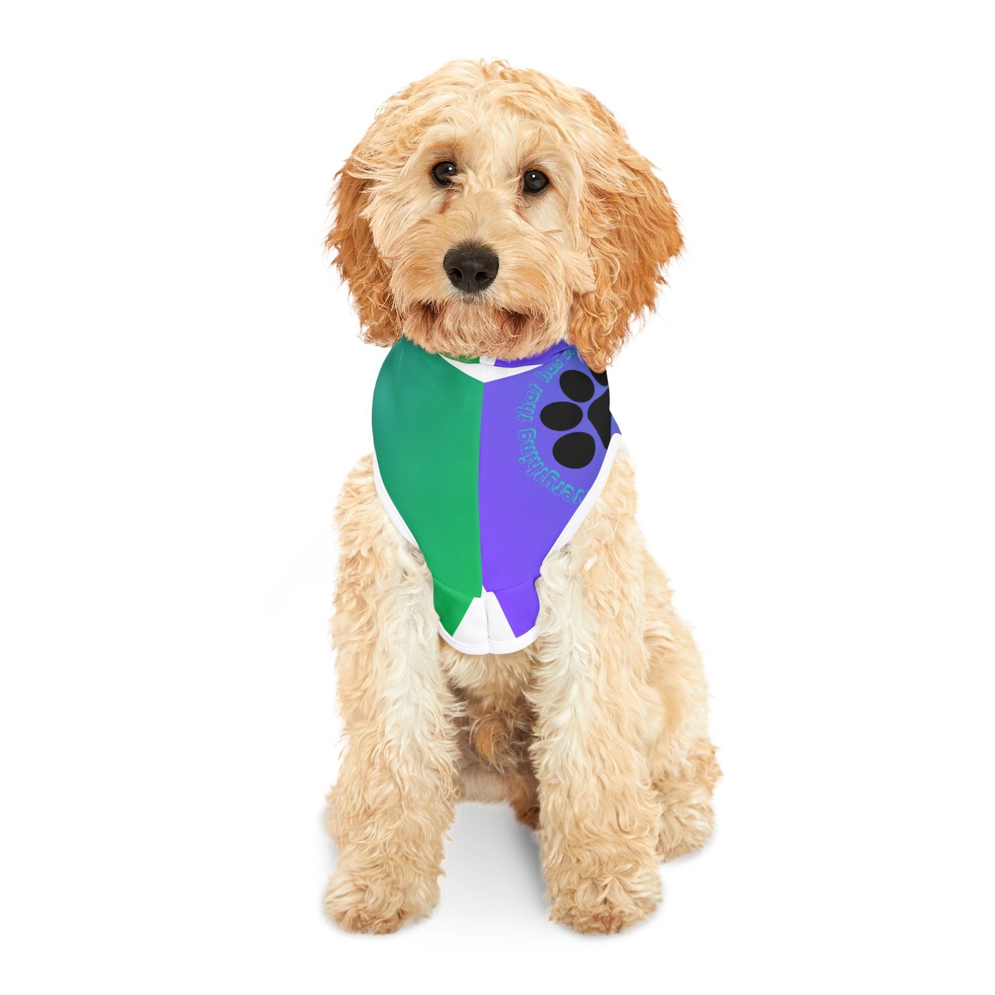 Colorful Pet Hoodie with Psalm 150:6 Design for Stylish Dogs