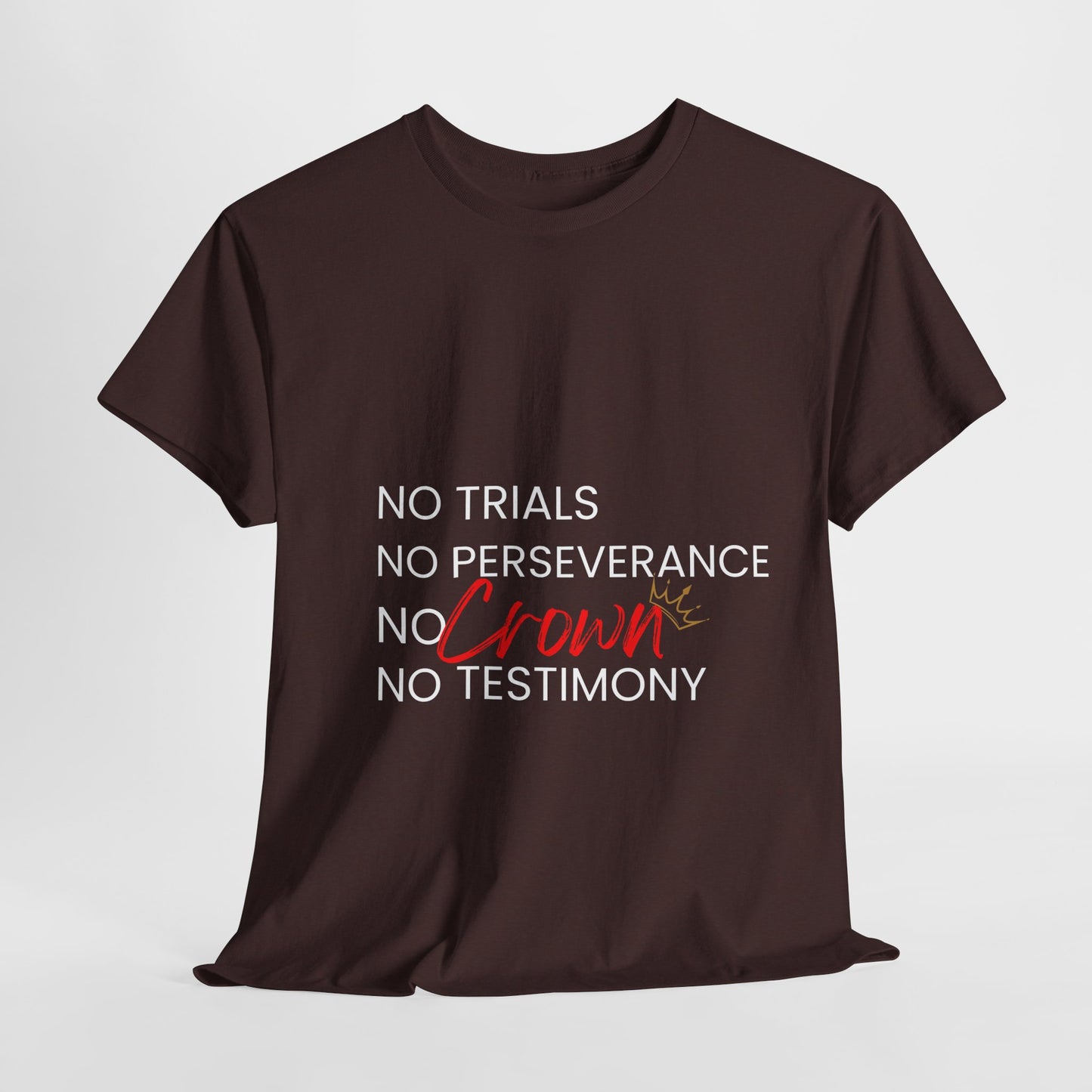 No Trials, No Perseverance, No Crown, No Testimony - Unisex Heavy Cotton Tee