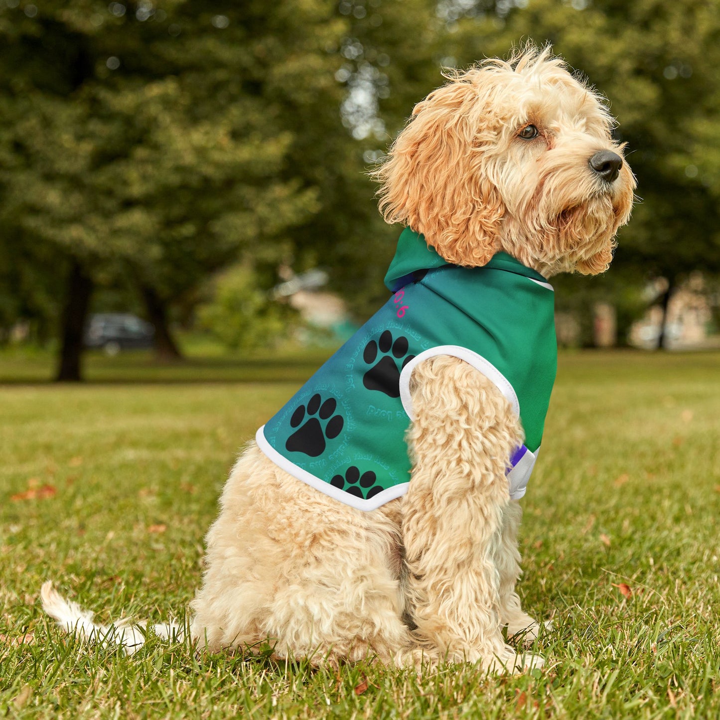 Colorful Pet Hoodie with Psalm 150:6 Design for Stylish Dogs