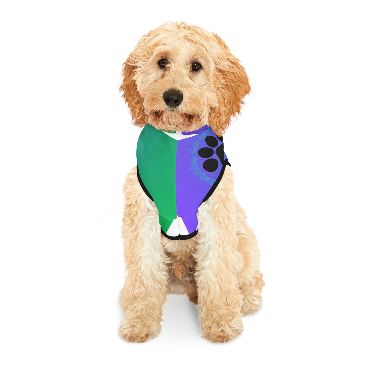 Colorful Pet Hoodie with Psalm 150:6 Design for Stylish Dogs