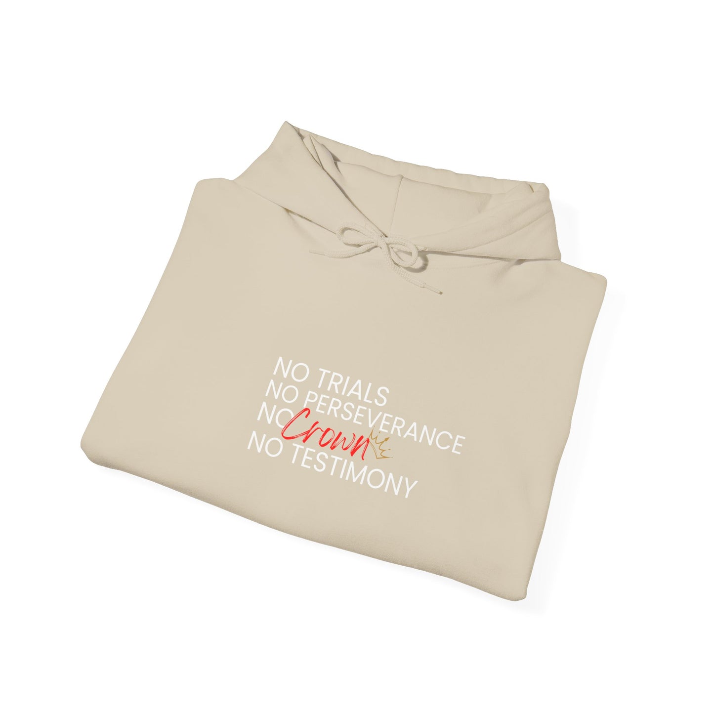No Trials, No Perseverance, No Crown, No Testimony – Christian Hoodie