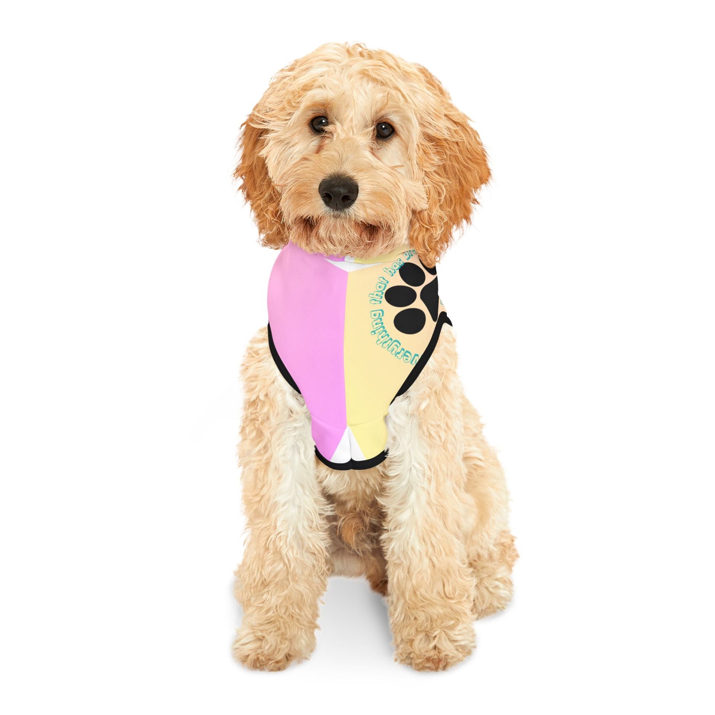 Comfortable and Stylish Pet Hoodie with Inspirational Quotes & Paw Print Design