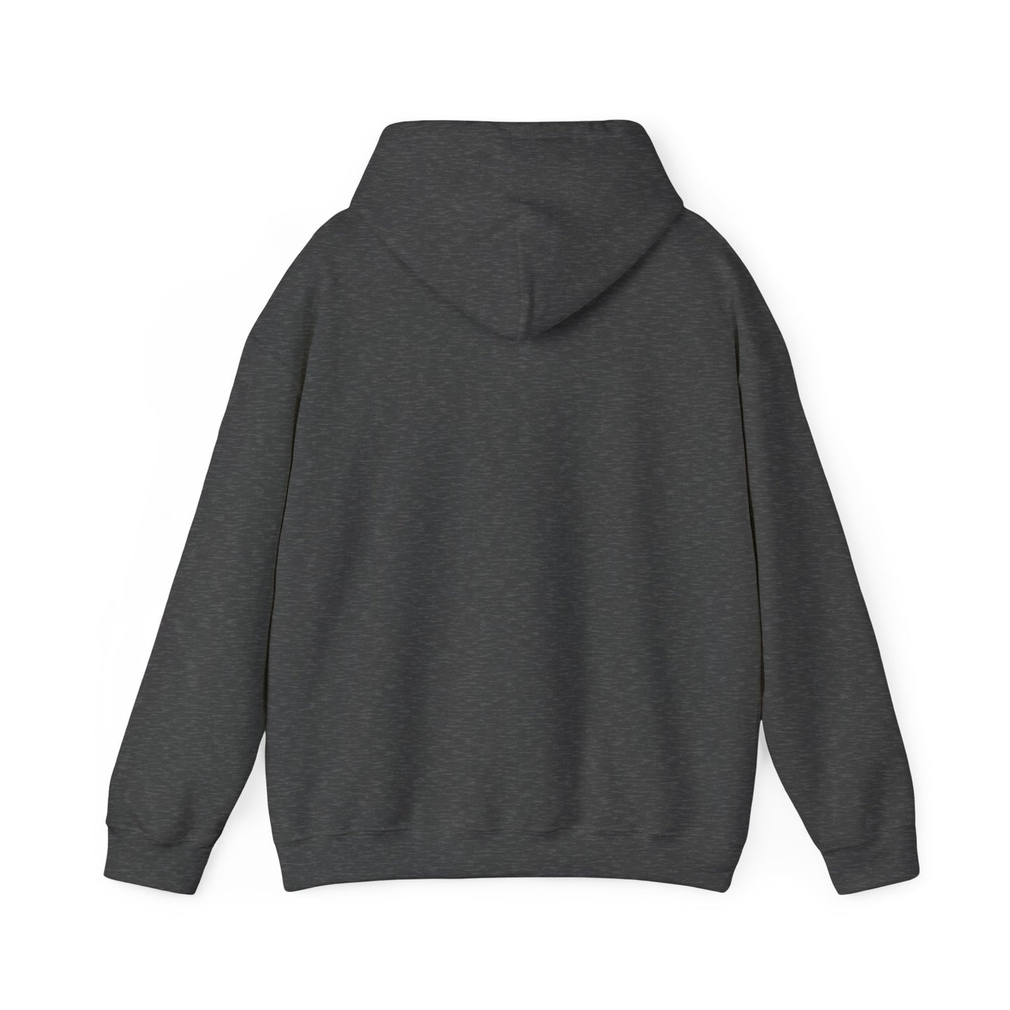 No Trials, No Perseverance, No Crown, No Testimony – Christian Hoodie