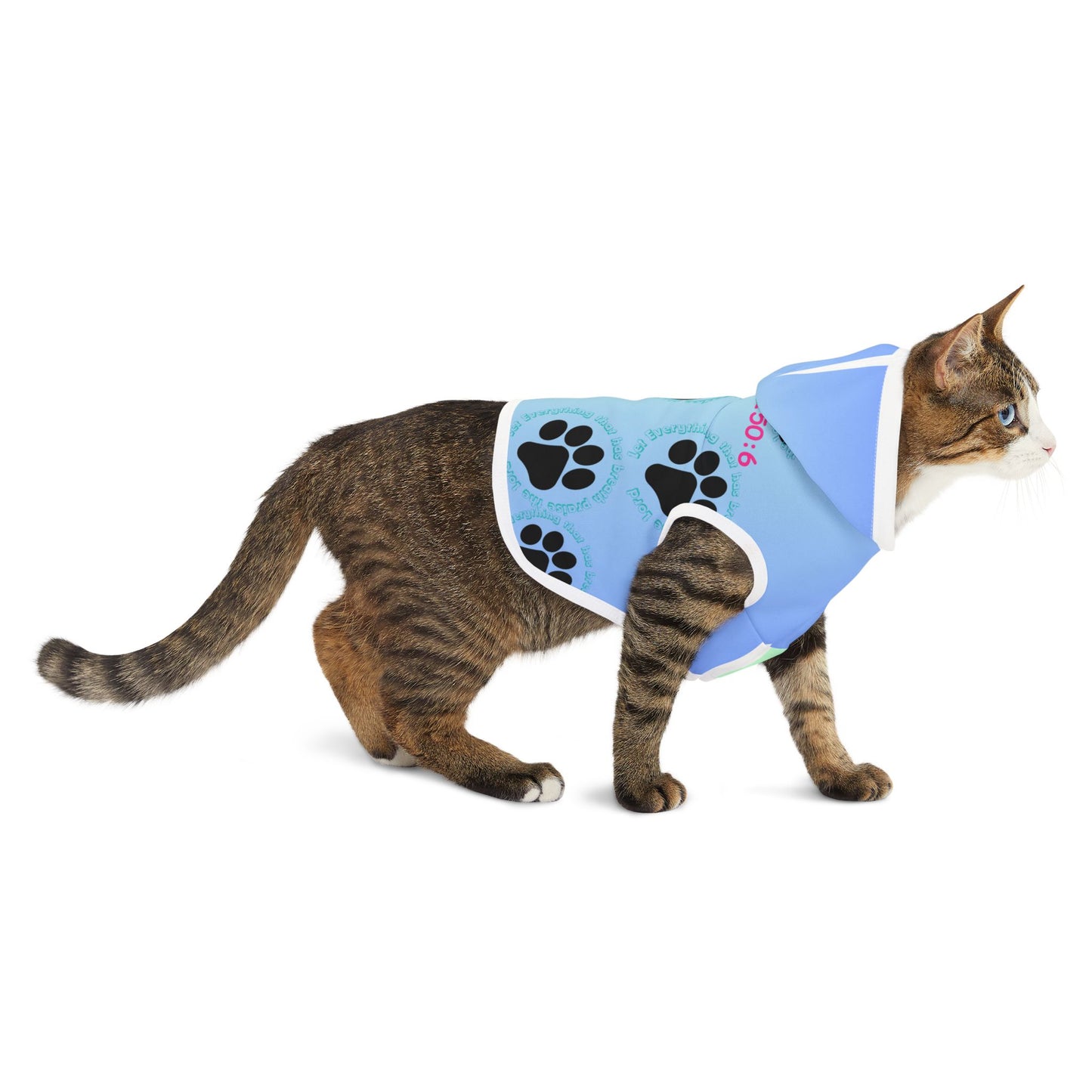 Colorful Pet Hoodie with Paw Print Design - Perfect for Dog Lovers!