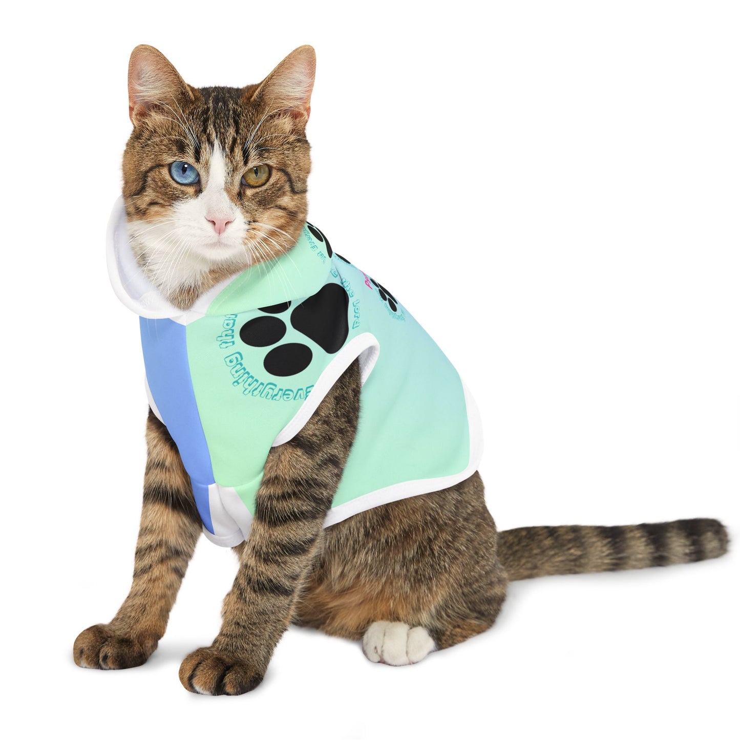 Colorful Pet Hoodie with Paw Print Design - Perfect for Dog Lovers!